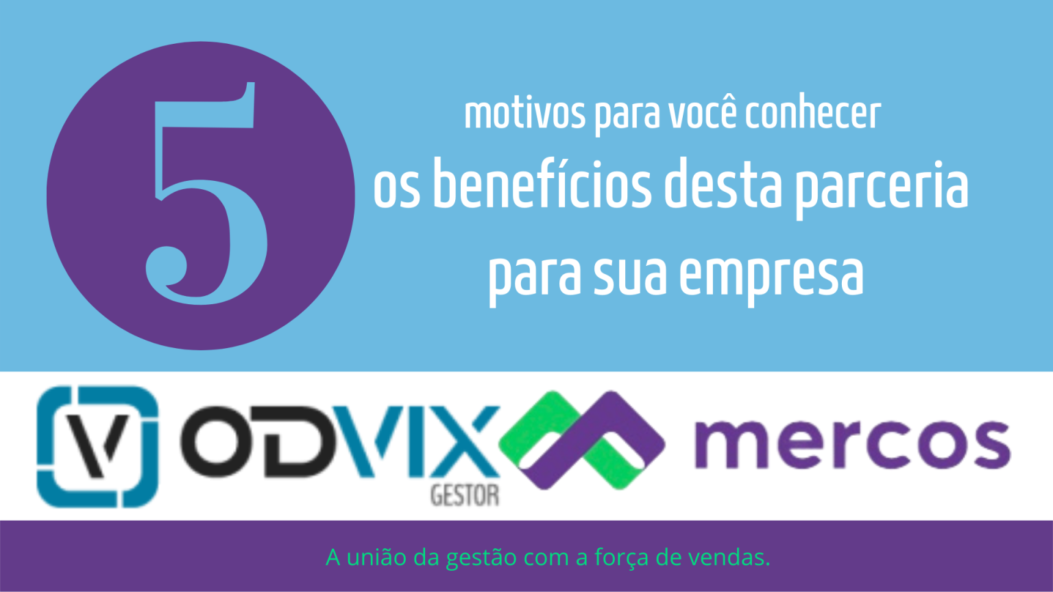 5 motivos para você conhecer os benefícios da parceria ODVIX + Mercos
