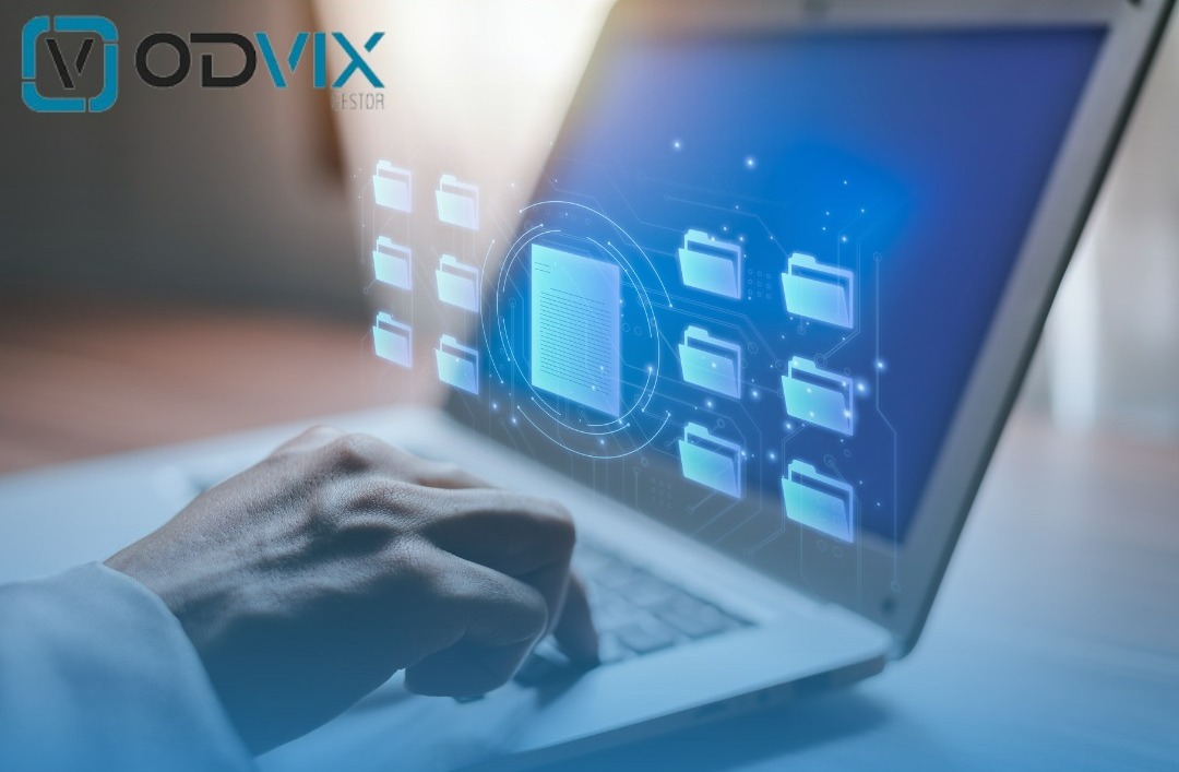 Software de Gestão Financeira
